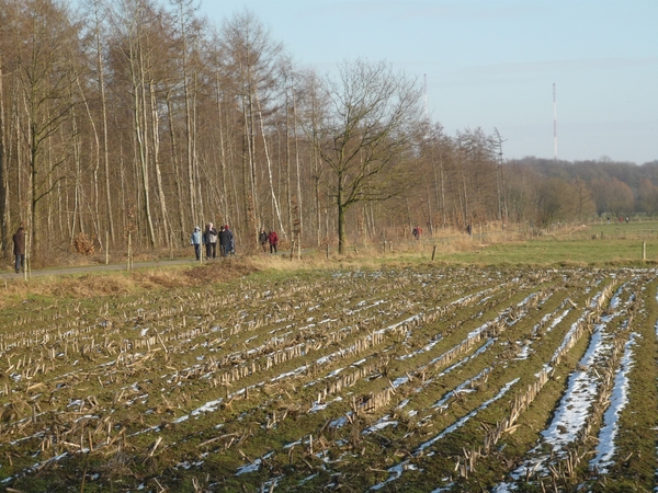 10.02.16.ST PIETERSVELD.PRACHTIG WANDELEN