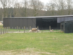 10.03.26.ST.MARIA-AALTER JONG LEVEN