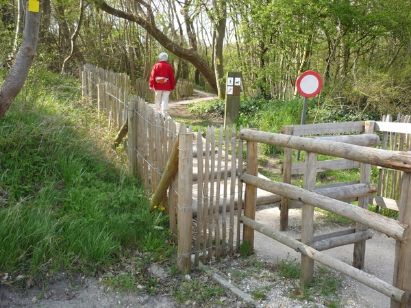 10.04.24.DE HAAN .TERUG DE BOSJES IN