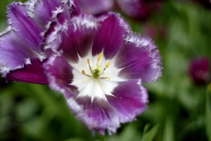 _DSC5536_resize