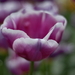 _dsc5539_g_resize
