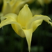 _DSC5540_resize