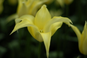 _DSC5540_resize