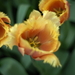 _DSC5541_resize