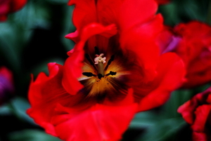 _DSC5542_resize
