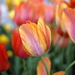 _DSC5545_resize