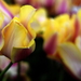_DSC5546_resize