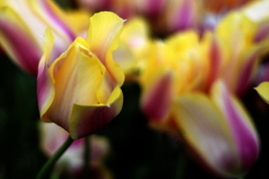 _DSC5546_resize