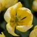 _DSC5549_resize