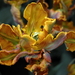 _DSC5550_resize