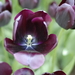 _DSC5551_resize