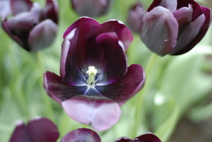 _DSC5551_resize