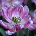 _DSC5553_resize