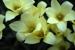 _DSC5554_resize
