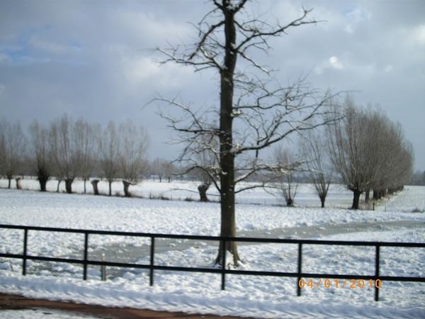 SNEEUW OP DE VELDEN