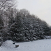 Winter December 2009 03
