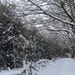 Winter December 2009 11