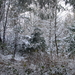 Winter December 2009 21