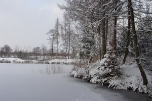 Winter December 2009 26