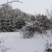 Winter December 2009 29