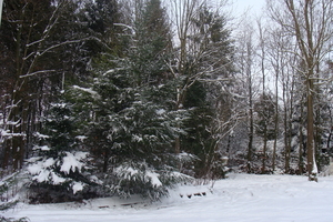 Winter December 2009 38