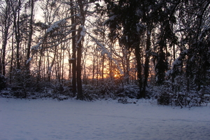 Winter December 2009 39