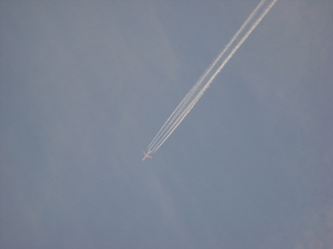 winter 2010 046