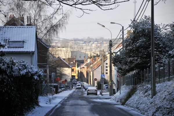 sneeuw 04012010 016
