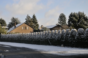 sneeuw 04012010 053