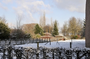 sneeuw  0 063