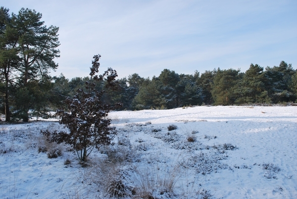 2010-01-05 JM Vosselaar_Beerse (12)