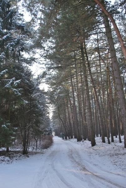 2010-01-05 JM Vosselaar_Beerse (22)