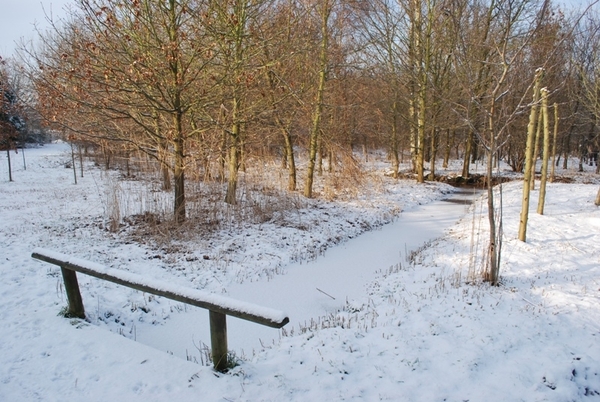 2010-01-05 JM Vosselaar_Beerse (28)