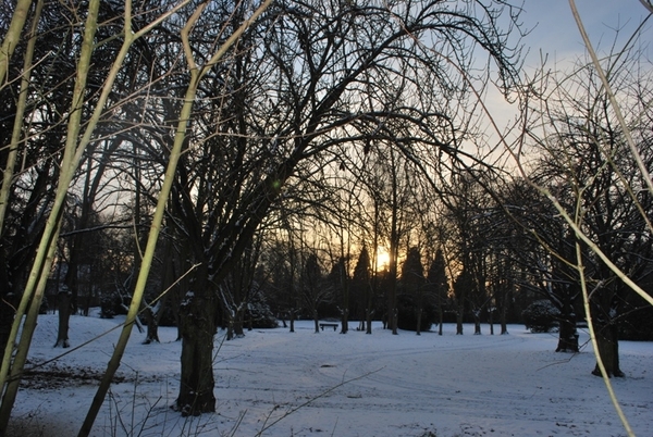 2010-01-05 JM Vosselaar_Beerse (54)