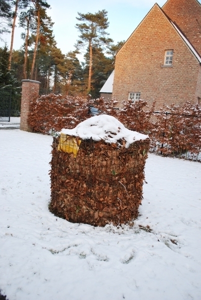 2010-01-05 JM Vosselaar_Beerse (58)