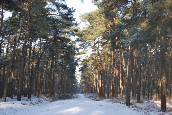 2010-01-05 JM Vosselaar_Beerse (6)