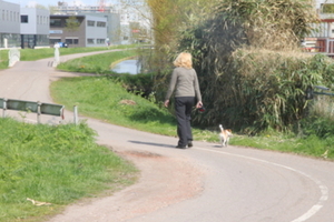 Wandelen is goed om constipatie te voorkomen