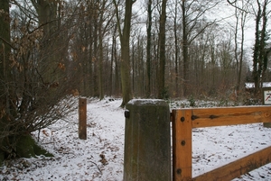 Heverlee bos 2010