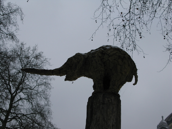 2010-01-06 zoo in de sneeuw (5)