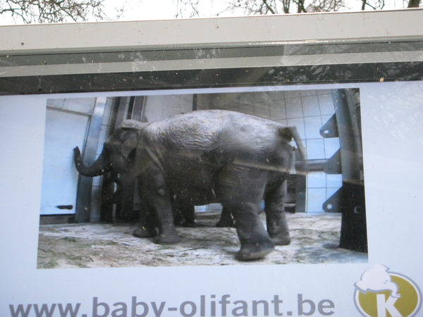 2010-01-06 zoo in de sneeuw (26)