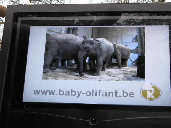 2010-01-06 zoo in de sneeuw (27)