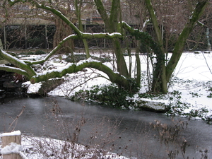 2010-01-06 zoo in de sneeuw (61)