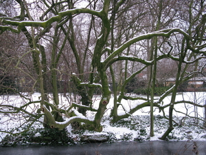 2010-01-06 zoo in de sneeuw (63)