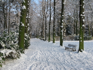 2009-12-18 sneeuw in het park (4)