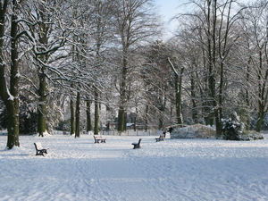 2009-12-18 sneeuw in het park (5)