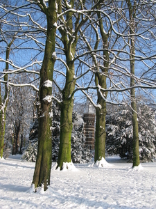2009-12-18 sneeuw in het park (7)