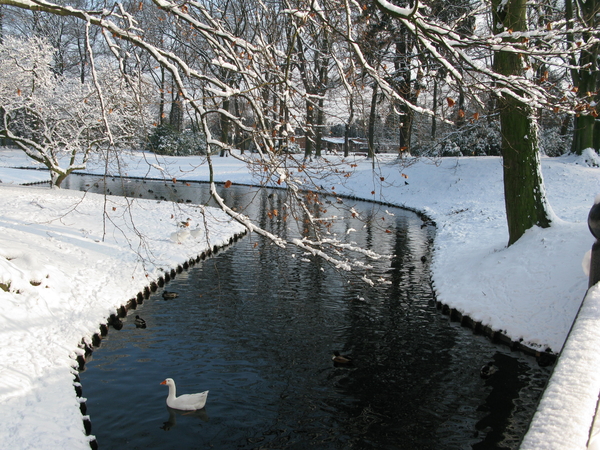 2009-12-18 sneeuw in het park (10)