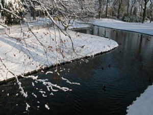 2009-12-18 sneeuw in het park (13)