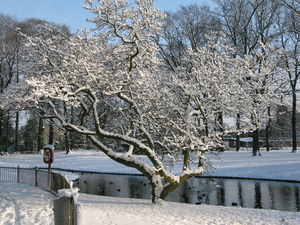 2009-12-18 sneeuw in het park (14)