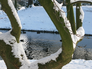 2009-12-18 sneeuw in het park (16)